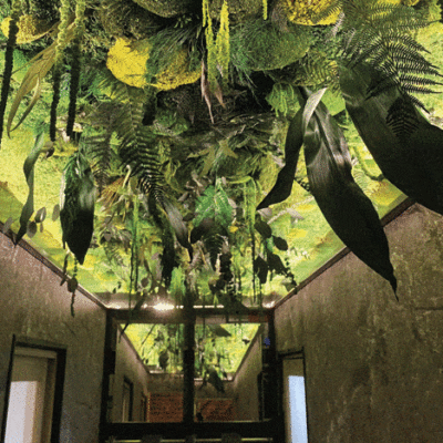 plafond-végétal